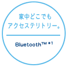 ƒǂłANZXeg[BBluetooth(TM)*1