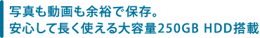 写真も動画も余裕で保存。安心して長く使える大容量250GB HDD搭載