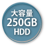 e250GB HDD