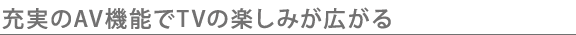 充実のAV機能でTVの楽しみが広がる