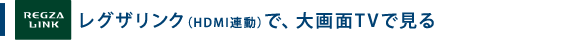 レグザリンク(HDMI連動)で、大画面TVで見る