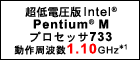 dIntel(R) Pentium(R) MvZbT733 g1.10GHz