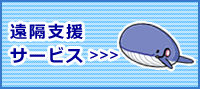 遠隔支援サービス